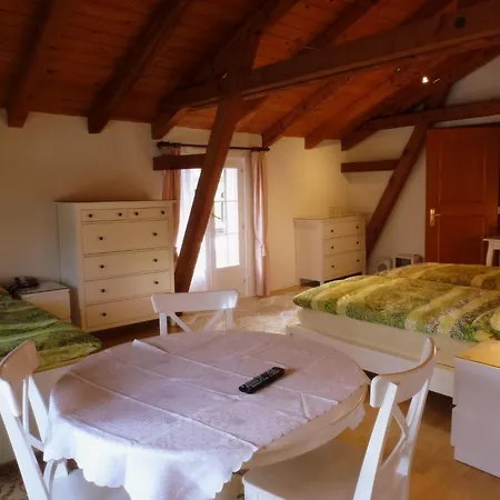 فندق سنترال كونتيننتال Unterseen